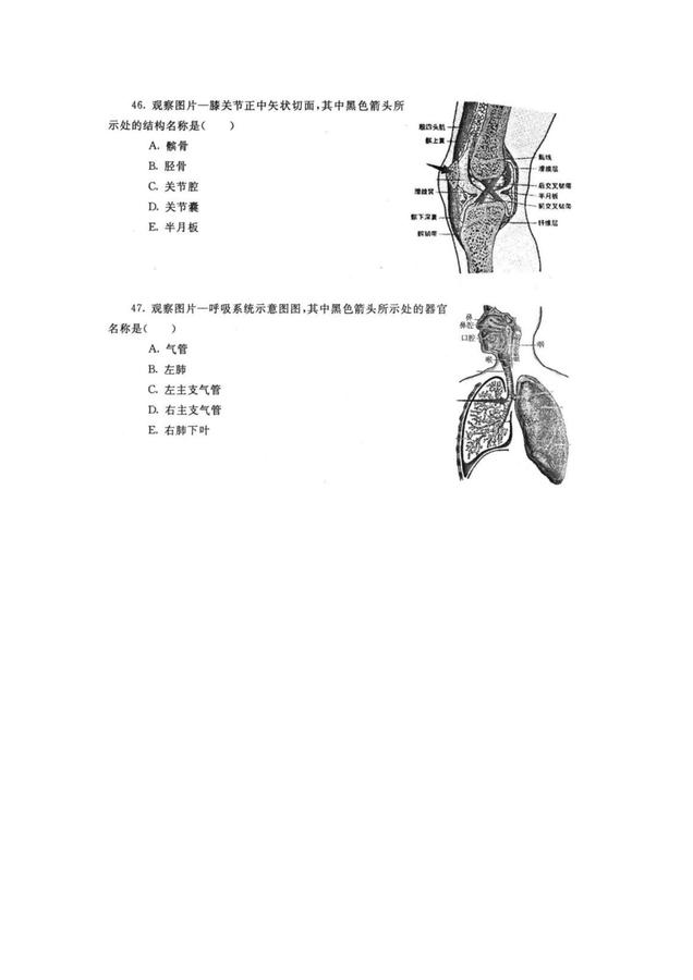 人體解剖學(xué)與組織胚胎學(xué)-試題2_05.jpg