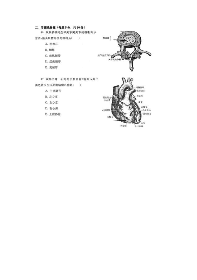 人體解剖學(xué)與組織胚胎學(xué)-試題1_05.jpg