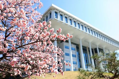 2020年韩国国立全南大学多语言研究生招生简章