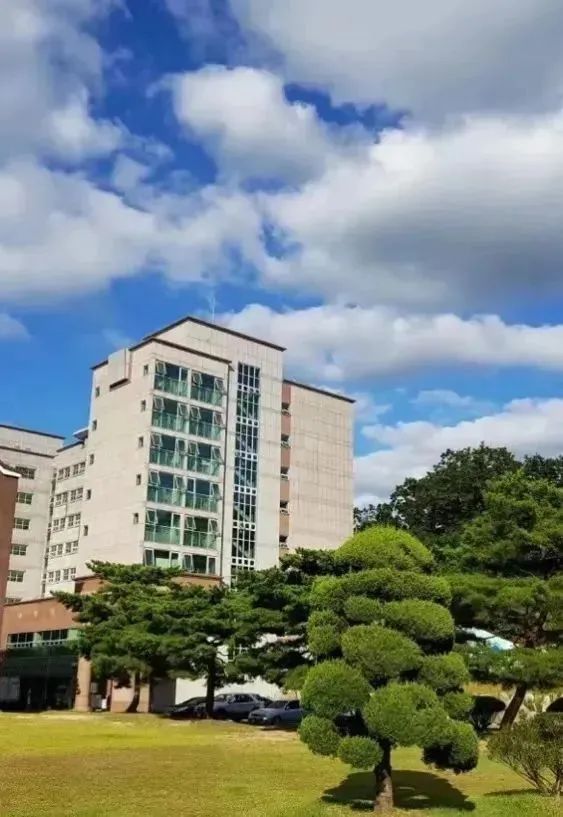 韩国大真大学校图片